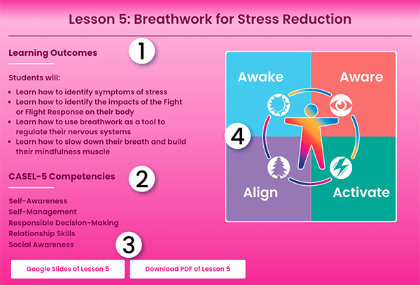 5: Systems of Your Body | Conscious Classroom